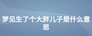 夢(mèng)見生了個(gè)大胖兒子是什么意思