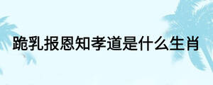 跪乳報(bào)恩知孝道是什么生肖