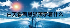 白天看到黑貓預(yù)示著什么