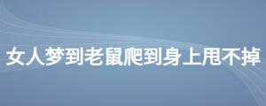 女人夢到老鼠爬到身上甩不掉