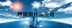 睜眼是什么生肖	