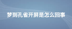 夢(mèng)到孔雀開屏是怎么回事