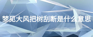 夢見大風把樹刮斷是什么意思