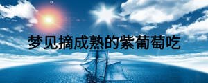 夢見摘成熟的紫葡萄吃