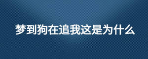 夢(mèng)到狗在追我這是為什么