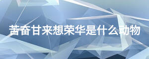 苦奮甘來想榮華是什么動物