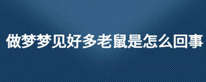 做夢(mèng)夢(mèng)見(jiàn)好多老鼠是怎么回事