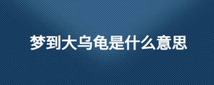 夢到大烏龜是什么意思