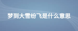 夢(mèng)到大雪紛飛是什么意思