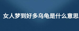 女人夢(mèng)到好多烏龜是什么意思