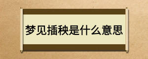 夢(mèng)見插秧是什么意思