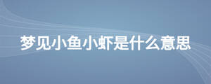 夢(mèng)見(jiàn)小魚小蝦是什么意思