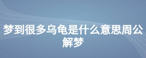 夢(mèng)到很多烏龜是什么意思周公解夢(mèng)