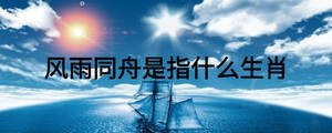 風(fēng)雨同舟是指什么生肖
