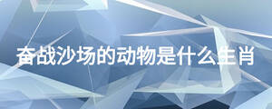 奮戰(zhàn)沙場的動物是什么生肖