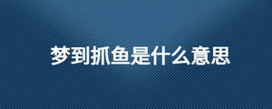 夢到抓魚是什么意思