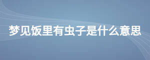 夢(mèng)見飯里有蟲子是什么意思