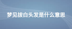 夢(mèng)見(jiàn)拔白頭發(fā)是什么意思