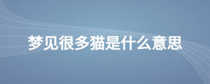 夢(mèng)見(jiàn)很多貓是什么意思