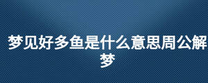 夢(mèng)見好多魚是什么意思周公解夢(mèng)