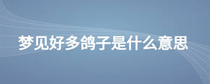 夢(mèng)見(jiàn)好多鴿子是什么意思