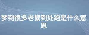 夢(mèng)到很多老鼠到處跑是什么意思