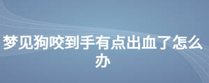 夢見狗咬到手有點出血了怎么辦