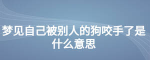 夢(mèng)見自己被別人的狗咬手了是什么意思