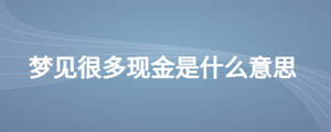 夢(mèng)見很多現(xiàn)金是什么意思