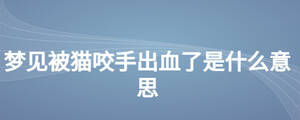夢見被貓咬手出血了是什么意思