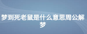 夢到死老鼠是什么意思周公解夢