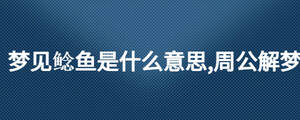 夢見鯰魚是什么意思,周公解夢