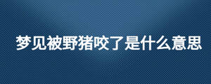 夢見被野豬咬了是什么意思