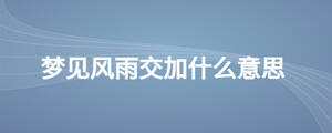 夢見風雨交加什么意思