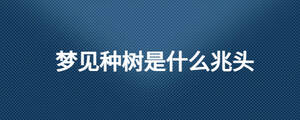 夢見種樹是什么兆頭