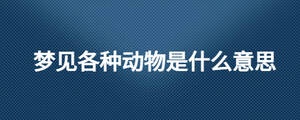 夢見各種動物是什么意思