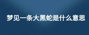 夢(mèng)見一條大黑蛇是什么意思