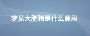 夢(mèng)見大肥豬是什么意思