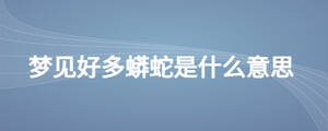 夢見好多蟒蛇是什么意思