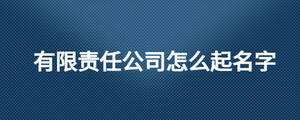 有限責(zé)任公司怎么起名字