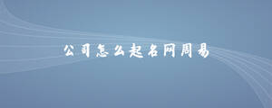 公司怎么起名網周易