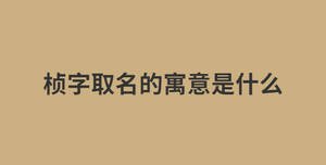 禎字取名的寓意是什么