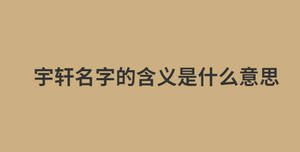宇軒名字的含義是什么意思