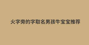 火字旁的字取名男孩牛寶寶