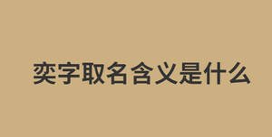 弈字取名含義是什么