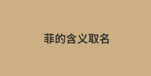 菲的含義取名