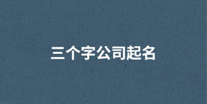 3個(gè)字公司起名