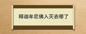 釋迦牟尼佛入滅去哪了