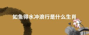 如魚(yú)得水沖浪行是什么生肖