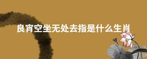 良宵空坐無處去指是什么生肖